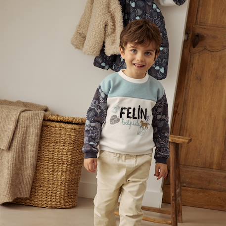 Sweat-shirt bébé en molleton félintrépide Bleu 6 - vertbaudet enfant 