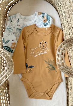 Bébé-Body-Lot de 2 bodies bébé manches longues charly
