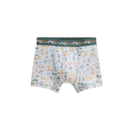 Lot de 2 boxers garçon forest Vert 5 - vertbaudet enfant 