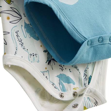 Lot de 2 bodies bébé manches longues oscar Bleu 5 - vertbaudet enfant 