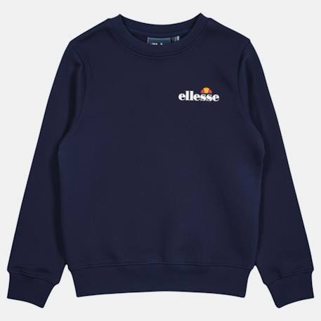Ensemble sweat et pantalon jogging garçon à imprimé Marine 4 - vertbaudet enfant 