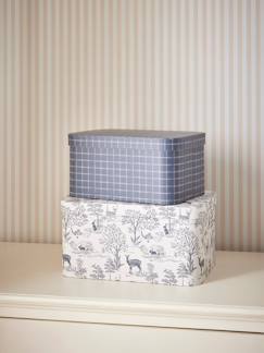 Chambre et rangement-Boîte gigogne "petit jouy" par lot de 2
