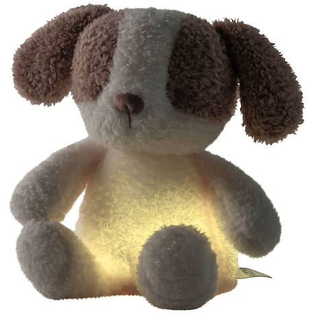 Peluche veilleuse chien LED rechargeable avec lumière douce – Dès la naissance Ecru, marron 2 - vertbaudet enfant 