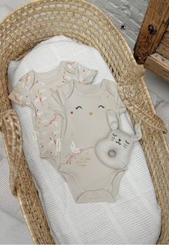 Bébé-Body-Lot de 2 bodies bébé manches courtes poésie d'été