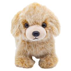 Jouet-Peluche chien doudou ultra doux nougat