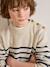 Pull rayé garçon rayé bleu 4 - vertbaudet enfant 