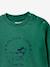 Sweat bébé doux menthe 3 - vertbaudet enfant 