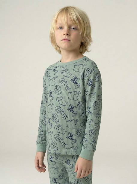 Pyjama garçon jungle vert sauge 9 - vertbaudet enfant 
