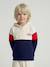 Sweat capuche garçon colorblock rouge 1 - vertbaudet enfant 