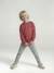 Sweat col rond garçon manches lo bois de rose+jaune pastel 6 - vertbaudet enfant 