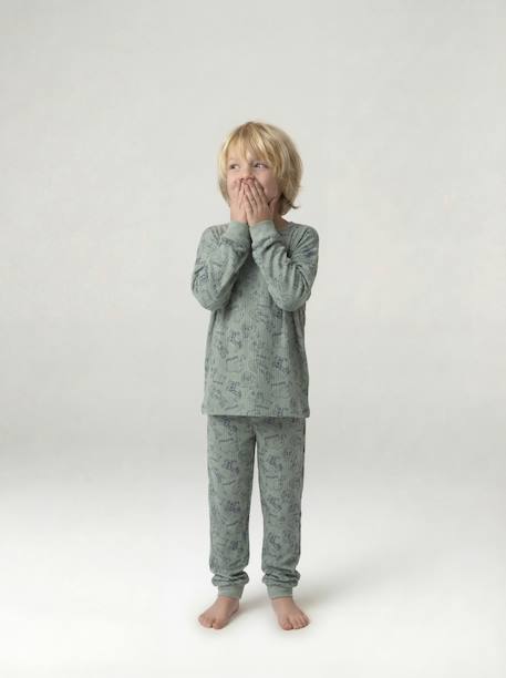 Pyjama garçon jungle vert sauge 3 - vertbaudet enfant 