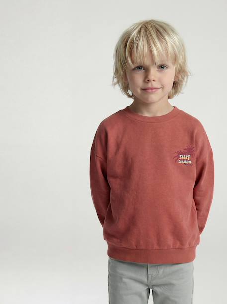 Sweat col rond garçon manches lo bois de rose+jaune pastel 1 - vertbaudet enfant 