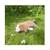 Peluche vick le chien beagle 54 cm Marron 4 - vertbaudet enfant 