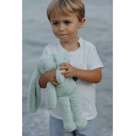 Peluche lapin méloé 37 cm Beige+Blanc+Bleu clair+Bleu électrique+Noir+Orange sanguine+Rose+Rose clair+Rose fushia+Rose pastel+Rouge+Vert+Vert d'eau+Vert sapin+Violet 52 - vertbaudet enfant 