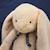 Peluche lapin méloé 37 cm Beige+Blanc+Bleu clair+Bleu électrique+Noir+Orange sanguine+Rose+Rose clair+Rose fushia+Rose pastel+Rouge+Vert+Vert d'eau+Vert sapin+Violet 2 - vertbaudet enfant 