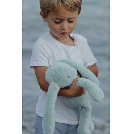 Peluche lapin méloé 37 cm Beige+Blanc+Bleu clair+Bleu électrique+Noir+Orange sanguine+Rose+Rose clair+Rose fushia+Rose pastel+Rouge+Vert+Vert d'eau+Vert sapin+Violet 51 - vertbaudet enfant 