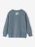 Sweat col rond manches longues bleu grisé 2 - vertbaudet enfant 