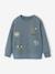 Sweat col rond manches longues bleu grisé 1 - vertbaudet enfant 