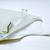 Gigoteuse coton bio Beige+Bleu+Bois de rose+Caramel+Ecureuil+Renard+Vert+Vert sauge 41 - vertbaudet enfant 