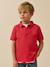 Polo garçon en coton bio Blanc+Celadon+Ciel+Marine+Rouge+Vert anglais 15 - vertbaudet enfant 