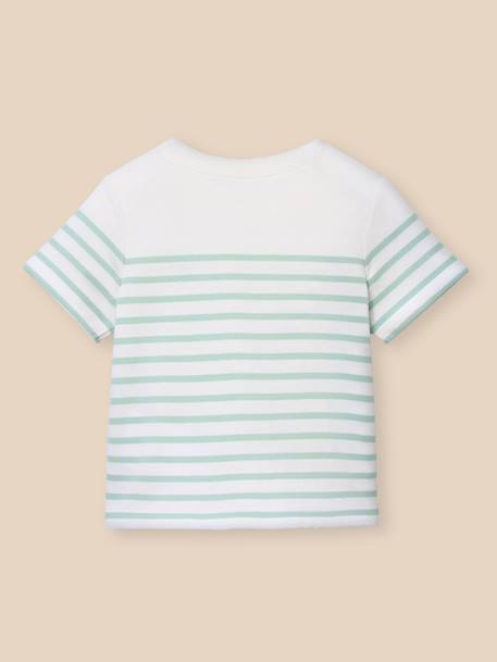 Marinière bébé - coton biologique Rayure amande+Rayure ciel 3 - vertbaudet enfant 