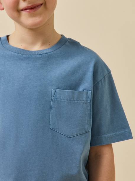 T-shirt garçon - coton biologique Celadon+Denim bleu 8 - vertbaudet enfant 
