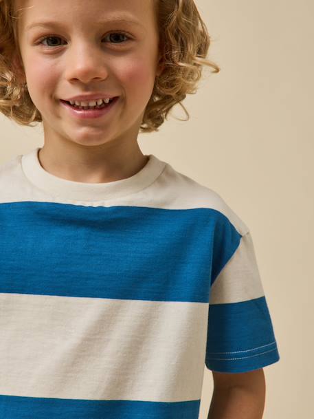 T-shirt rayée garçon - coton biologique Rayure bleue 3 - vertbaudet enfant 