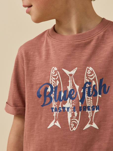T-shirt imprimé garçon - coton biologique Ecru+Indigo+Terracotta 10 - vertbaudet enfant 