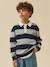 Pull polo garçon Rayure bleue 1 - vertbaudet enfant 