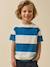 T-shirt rayée garçon - coton biologique Rayure bleue 1 - vertbaudet enfant 