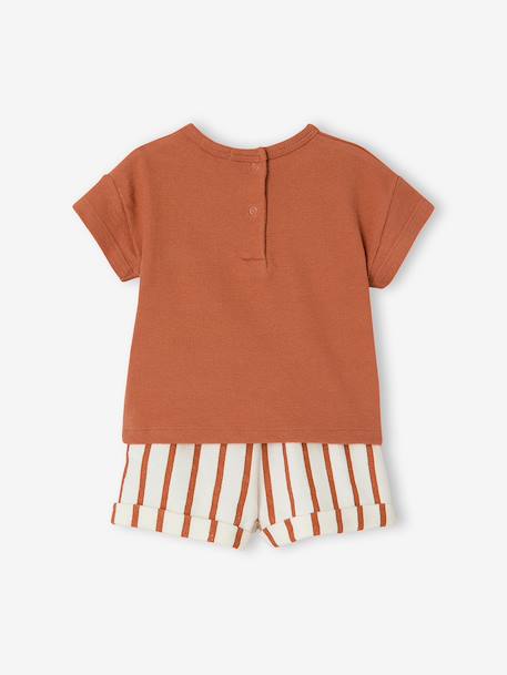 Ensemble short t-shirt à personnaliser noisette+vert sauge 5 - vertbaudet enfant 