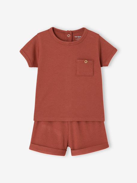 Lot 2 pyjashorts coton bio tomette 5 - vertbaudet enfant 