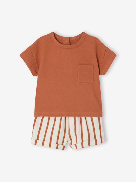Ensemble short t-shirt à personnaliser noisette+vert sauge 2 - vertbaudet enfant 