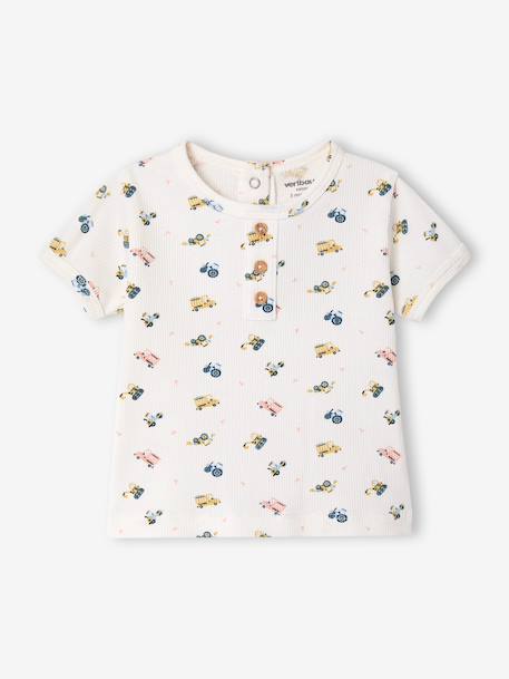 Lot 2 pyjashorts coton bio tomette 3 - vertbaudet enfant 