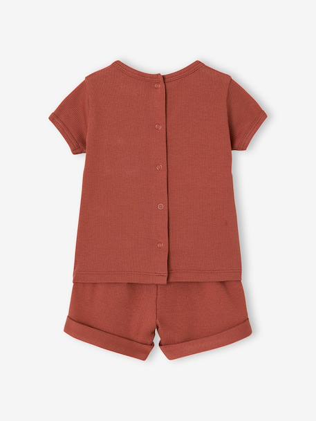 Lot 2 pyjashorts coton bio tomette 9 - vertbaudet enfant 