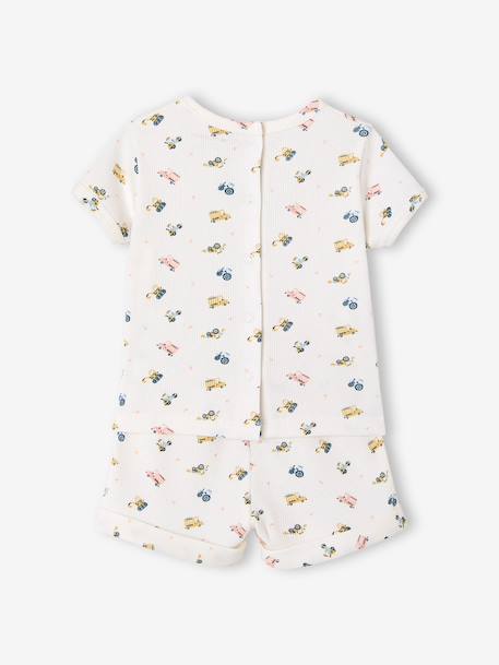 Lot 2 pyjashorts coton bio tomette 8 - vertbaudet enfant 