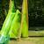 Cabane tissu pour portique balançoire pour enfants Vert 5 - vertbaudet enfant 