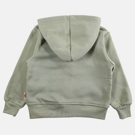 Veste sweat à capuche garçon imprimée Beige+Kaki 8 - vertbaudet enfant 