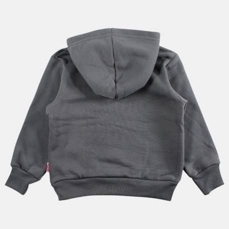 Sweat à capuche garçon imprimé Gris anthracite+Gris clair+Kaki+Marine 4 - vertbaudet enfant 