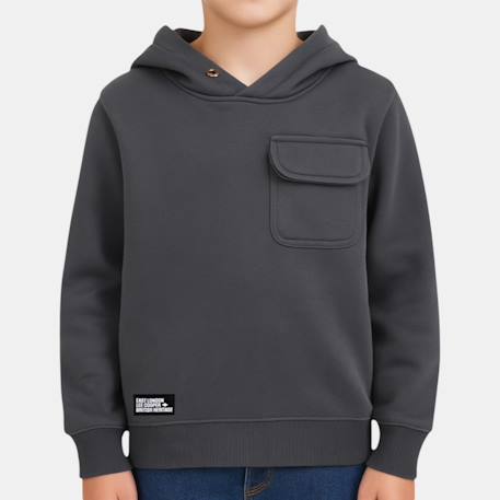 Garçon-Pull, gilet, sweat-Sweat à capuche garçon imprimé