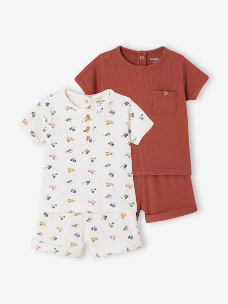 Lot 2 pyjashorts coton bio tomette 1 - vertbaudet enfant 