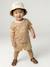 T-shirt bébé garçon en coton bio noix de pécan 7 - vertbaudet enfant 