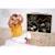Magnets dinosaures en bois fsc 24 pcs Beige - Chantier+Beige - Ferme+Beige - Fruits et Légumes+Beige - Jardin+Beige - Licornes et Dragons+Beige - Marin+Orange 26 - vertbaudet enfant 