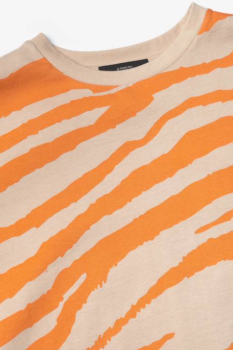 Tee-shirt zabrabo Zebra 2 - vertbaudet enfant 