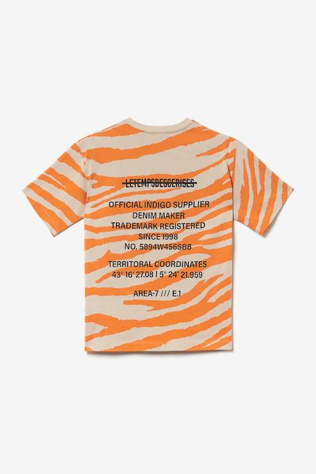Tee-shirt zabrabo Zebra 3 - vertbaudet enfant 