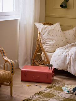 Chambre et rangement-Malle de rangement en métal
