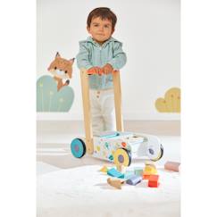 Chariot de marche et cubes en bois  - vertbaudet enfant