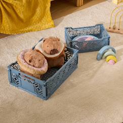 Chambre et rangement-Rangement-Cagette pliante - arry