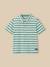 Polo rayé garçon - coton biologique Rayure bleue+Rayure verte 5 - vertbaudet enfant 