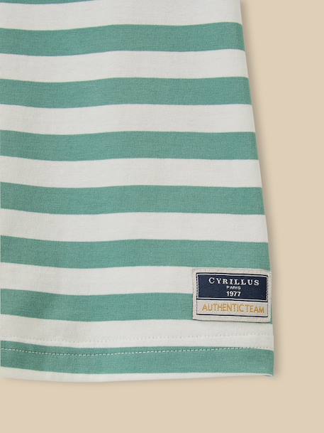 Polo rayé garçon - coton biologique Rayure bleue+Rayure verte 6 - vertbaudet enfant 
